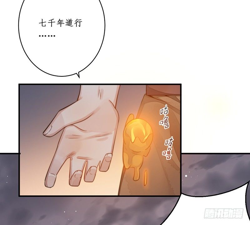 第十二话：情花之哀341