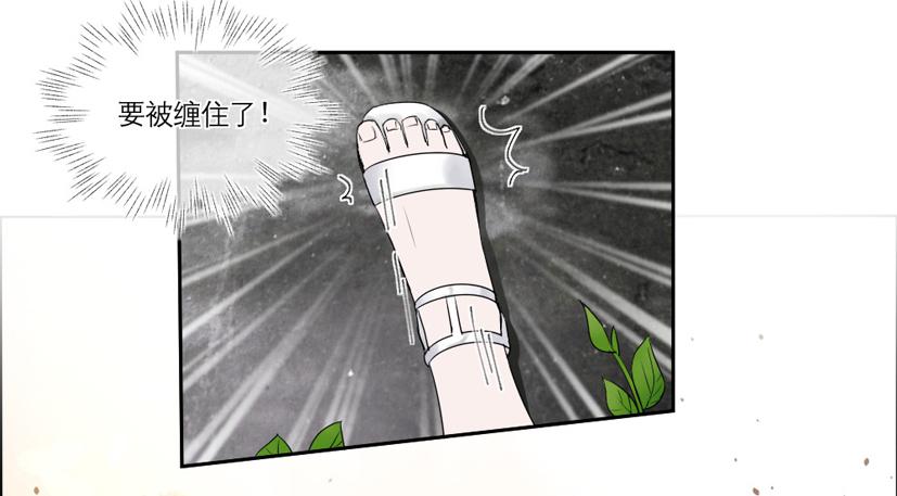 第17话4