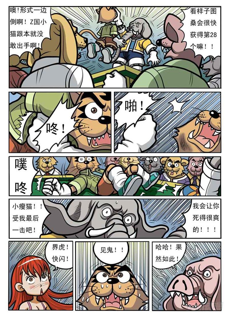 赌拳5