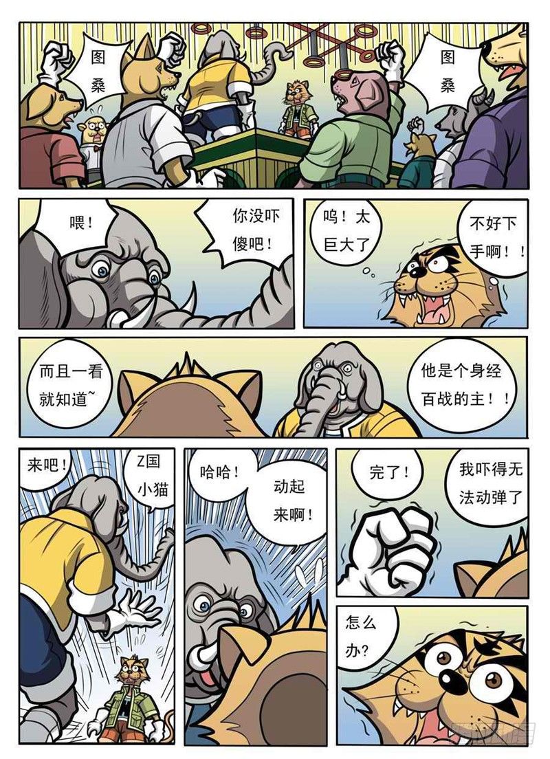 赌拳3
