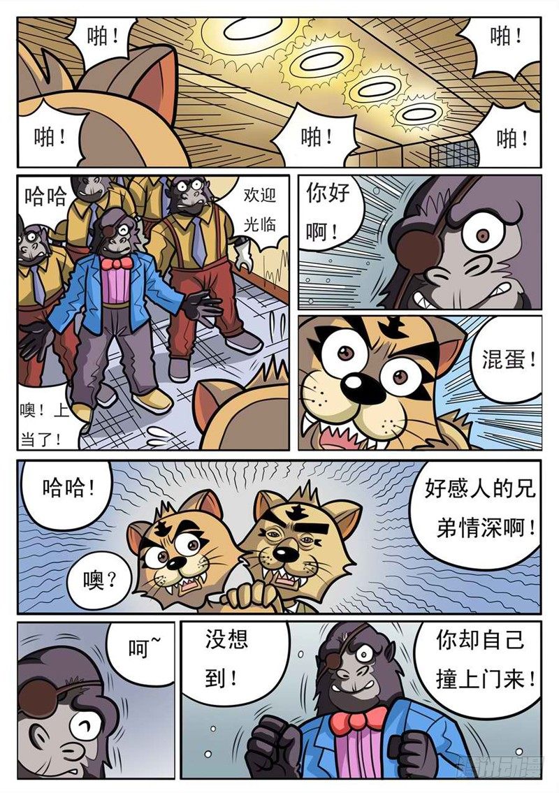 找到大哥11