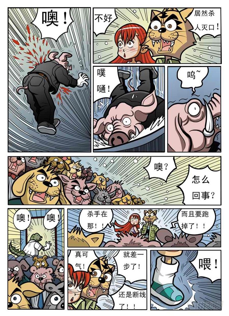 赌拳12