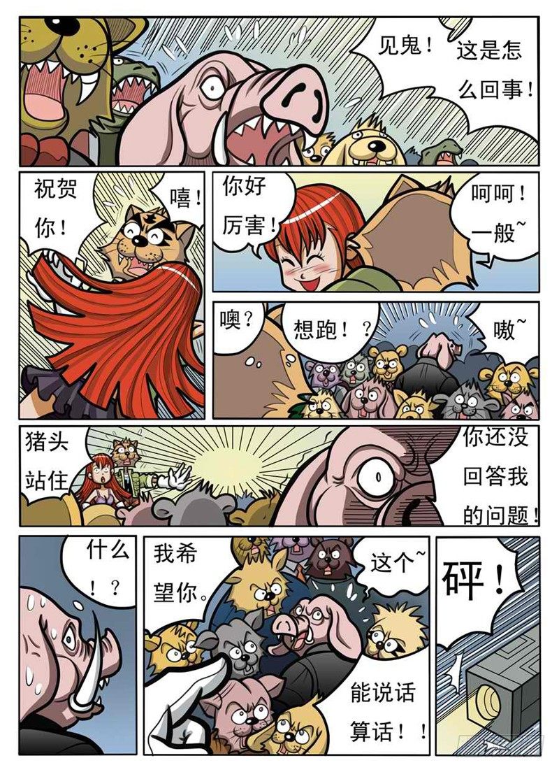 赌拳11