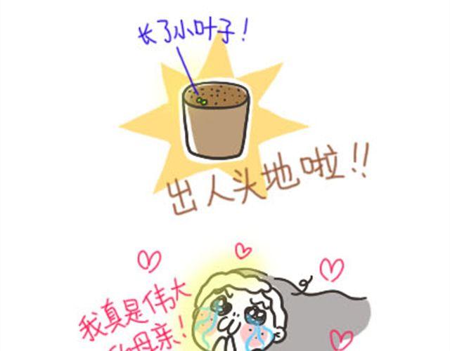 第13话 礼物2