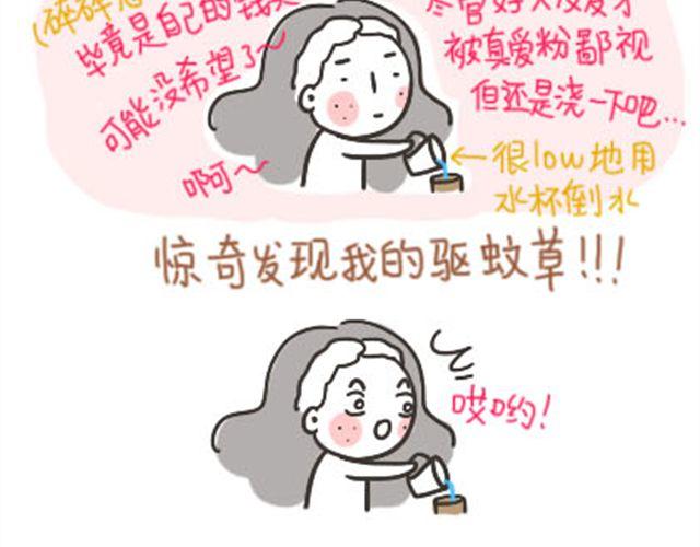 第13话 礼物1