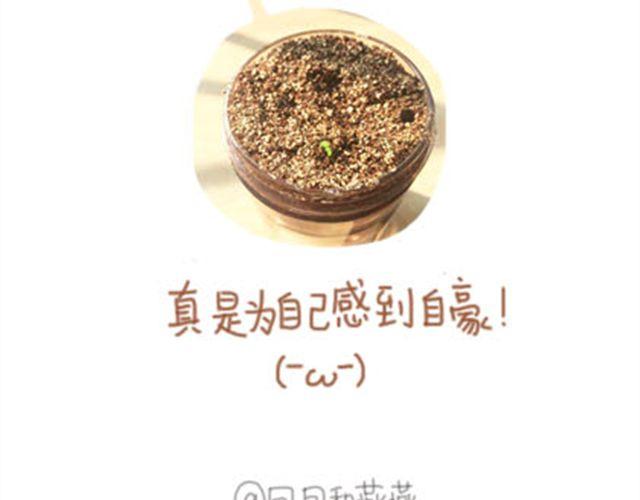 第13话 礼物4