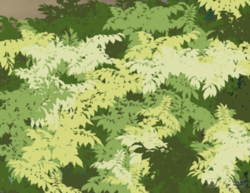 红烛泪·终42