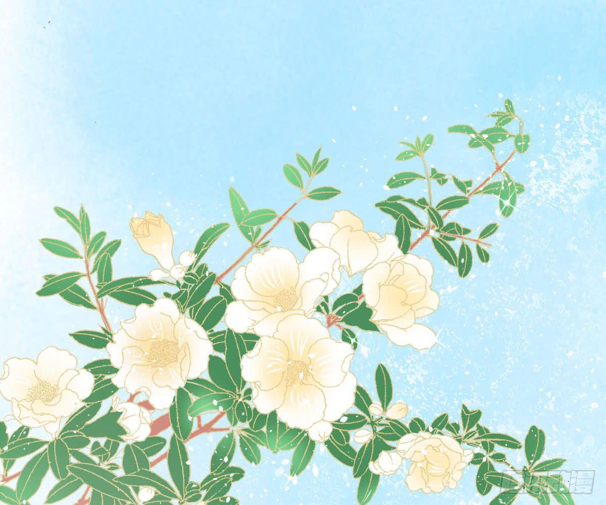 红烛泪·十三4