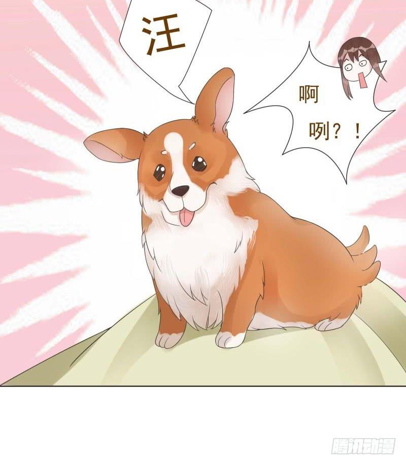 第05话22