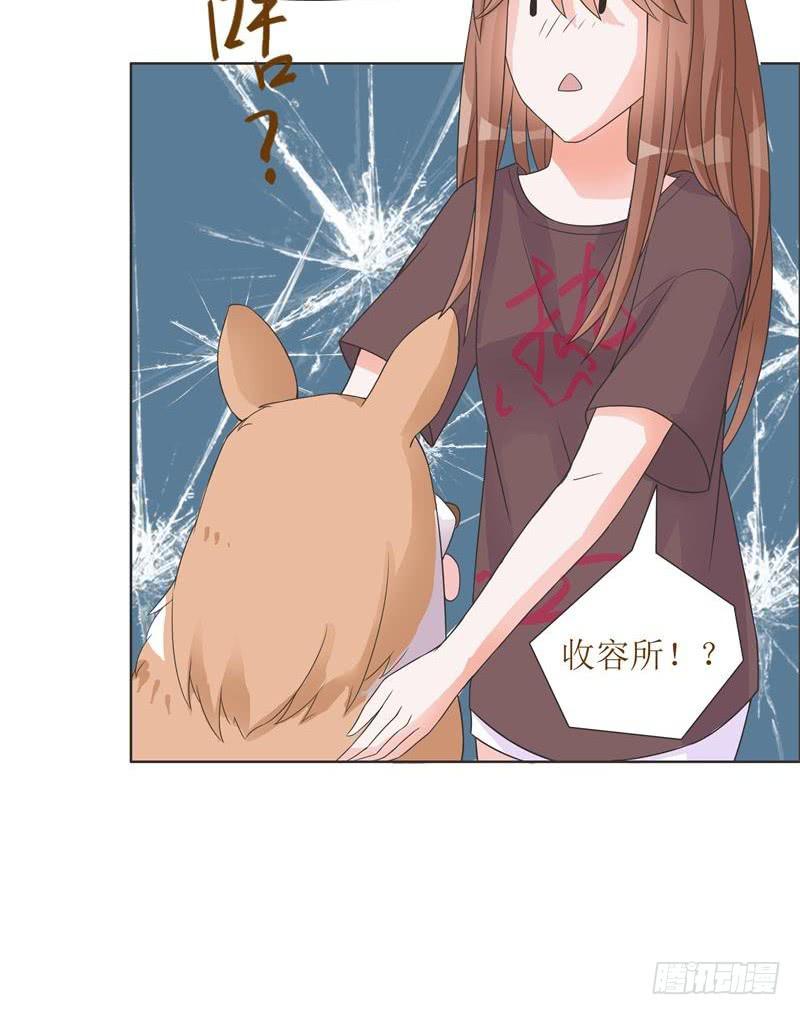 第05话31