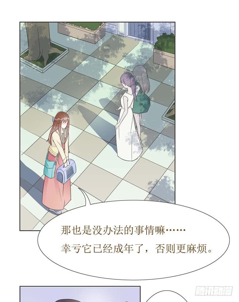 第06话3