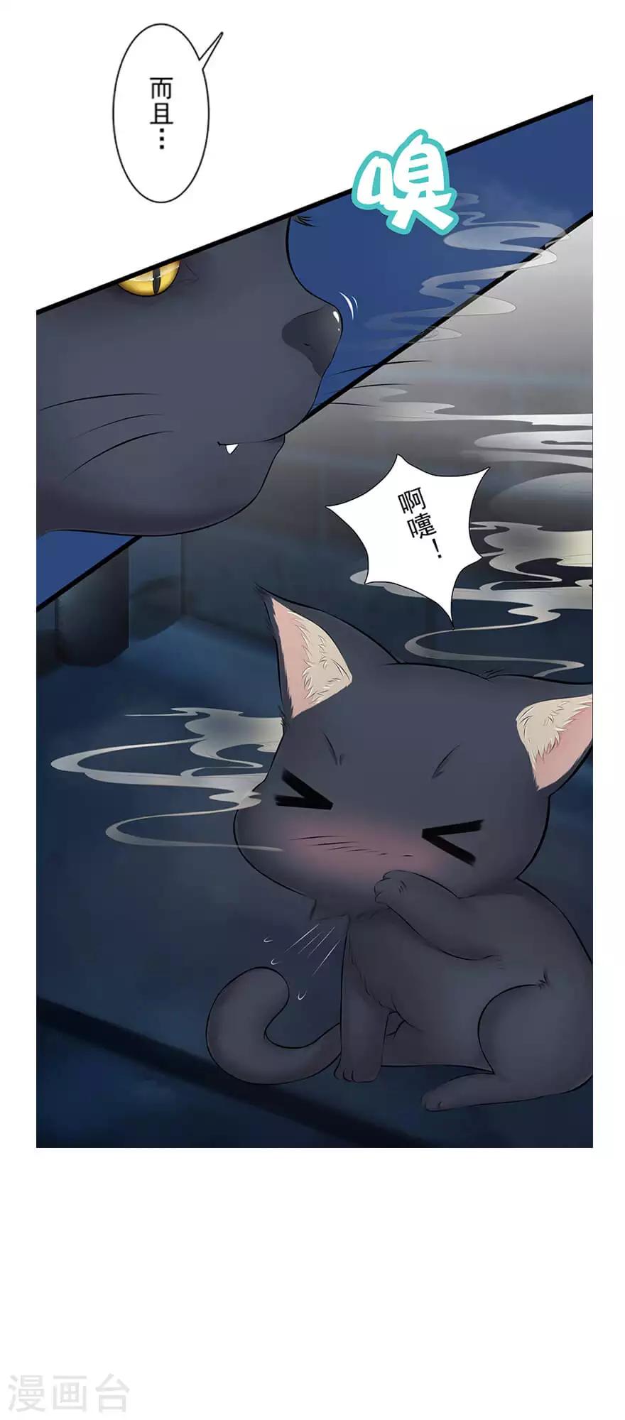 第23话 狸馆9