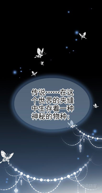 预告000