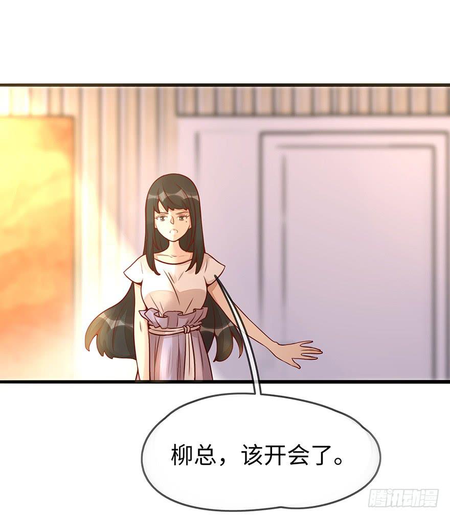 总裁大人的办法11