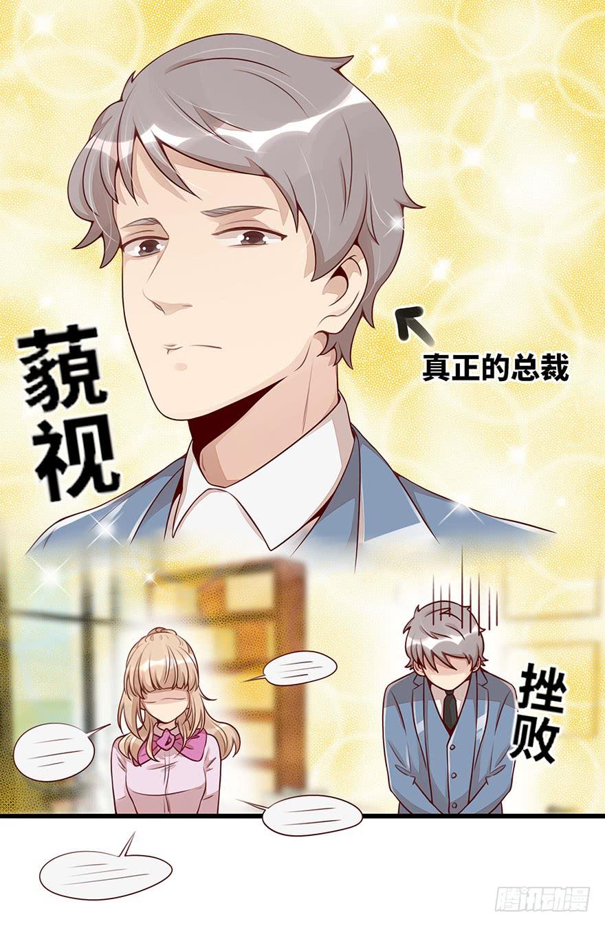 真正的总裁30