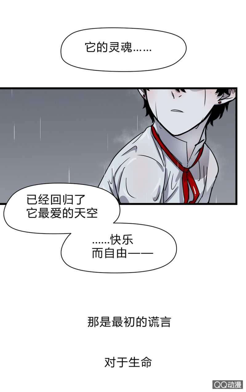 梦&amp;amp;雨14