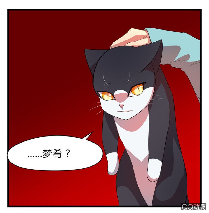 梦&amp;amp;占卜1