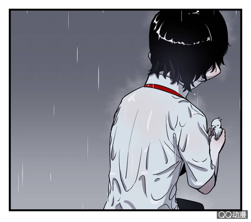 梦&amp;amp;雨13