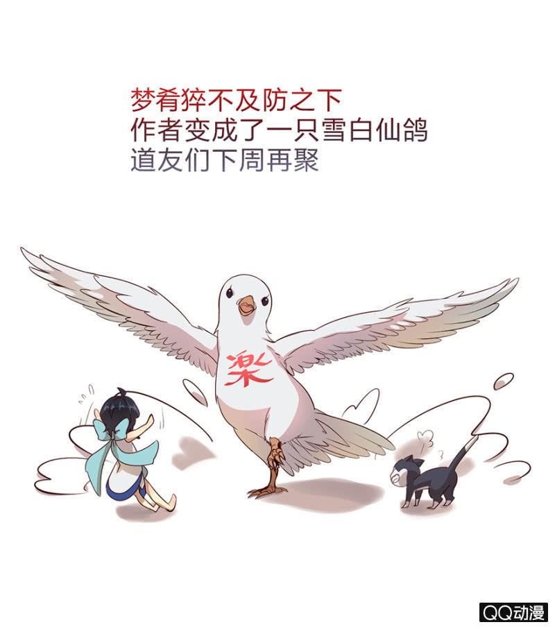 停更通知0