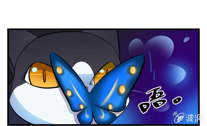 梦&amp;amp;契约之血14