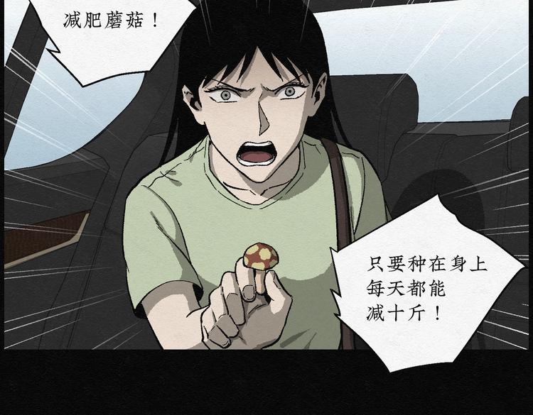 第29话 减肥蘑菇0520