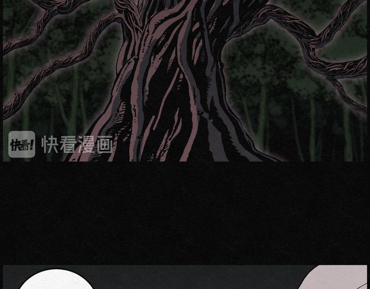 第13话 回春谷0240
