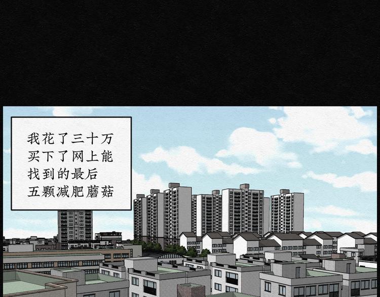 第28话 减肥蘑菇042
