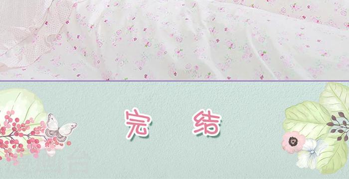最终话24