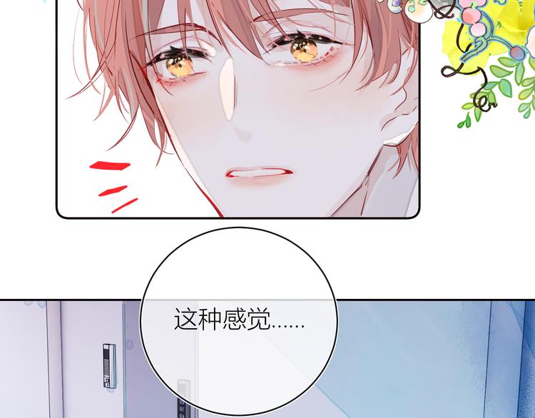 第三颗糖50