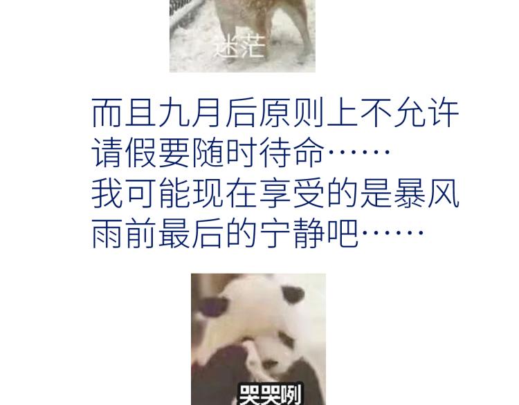 第十二颗糖84