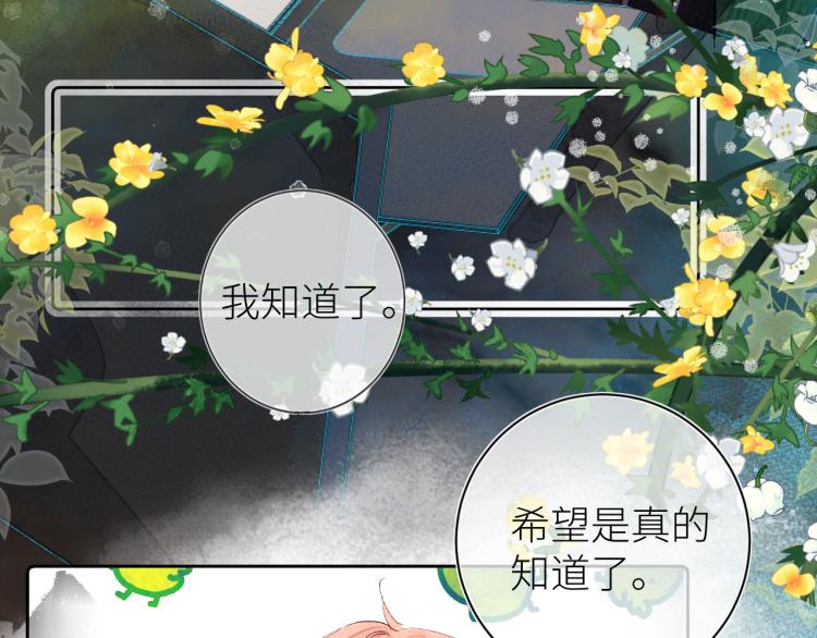 第十三颗糖59