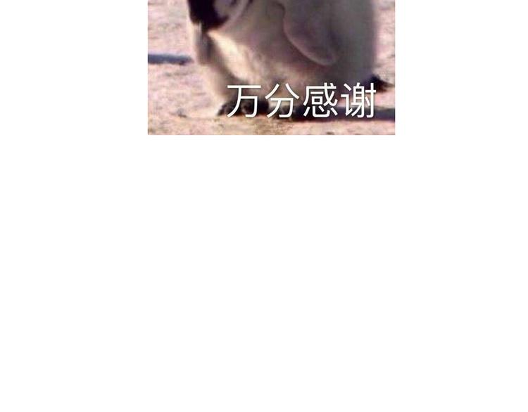 第六颗糖72