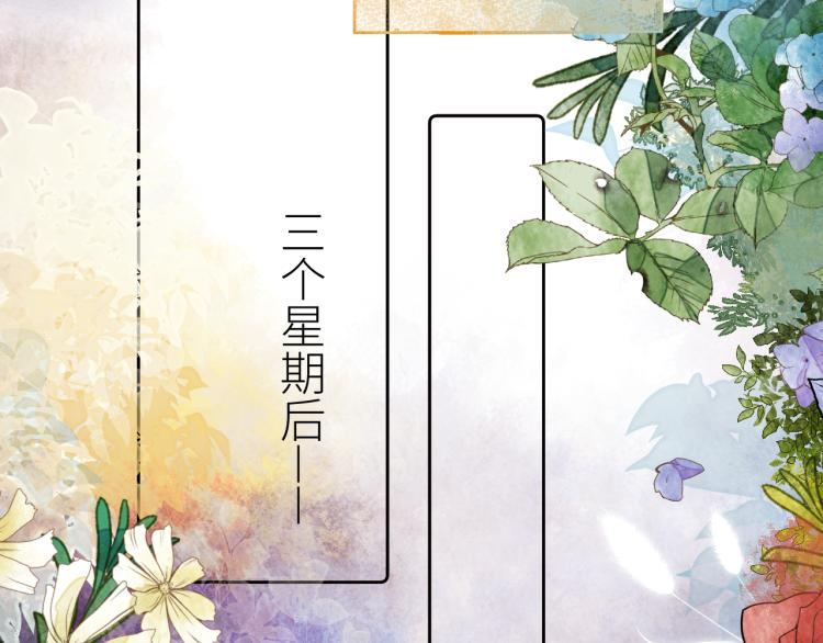 第十二颗糖28
