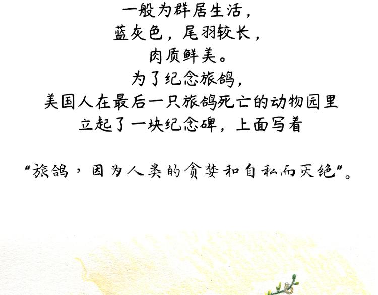 【第十话】海豚菲洛78