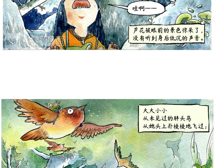 【第一话】芦花森林挡路狗37