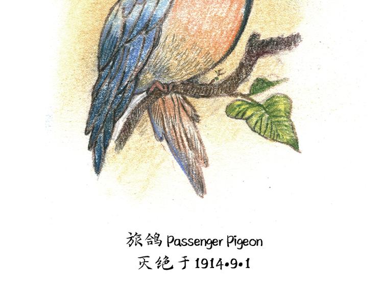 【第十话】海豚菲洛77