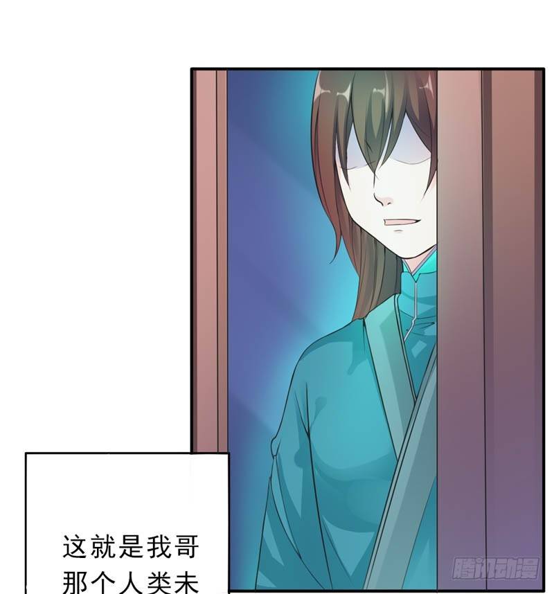 我来保护你4