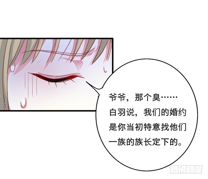 旧日的约定11