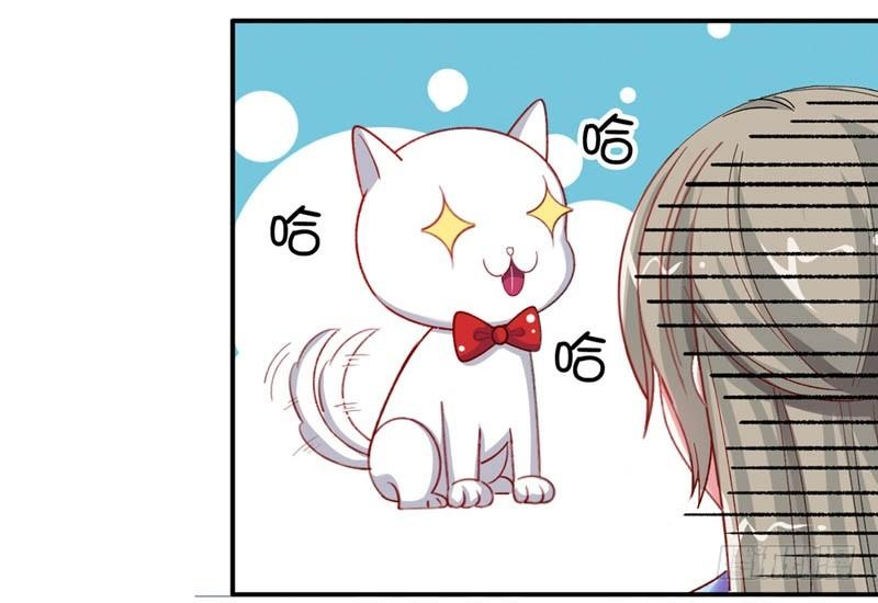 旧日的约定14