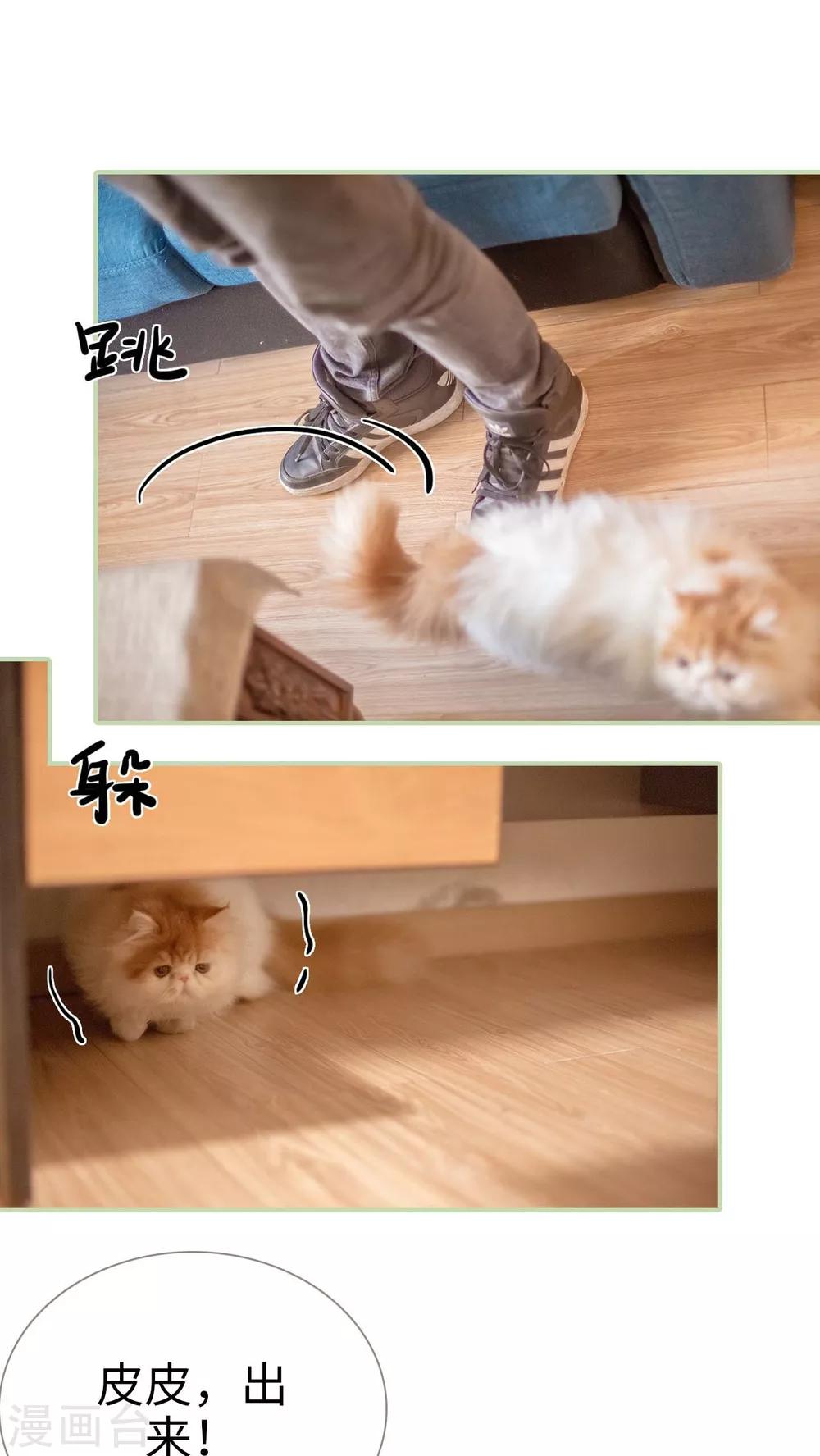 第11话6