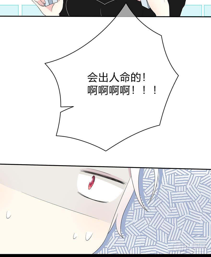 让他去试试43