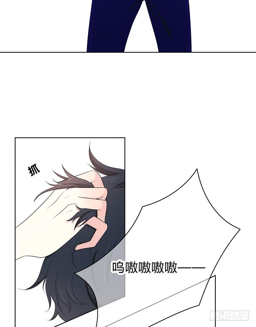 让他去试试2