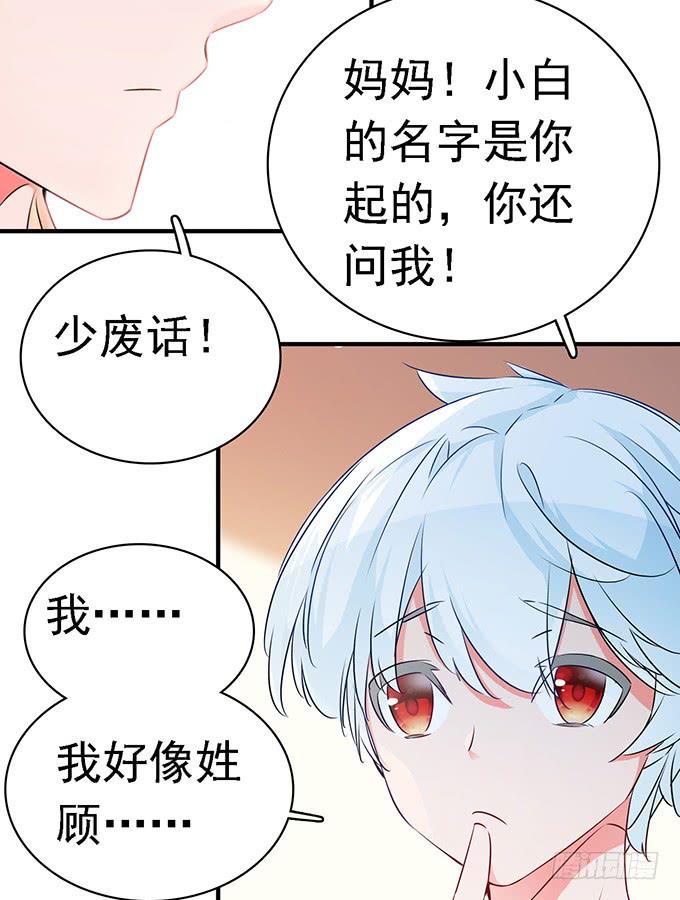 10.熊孩子40