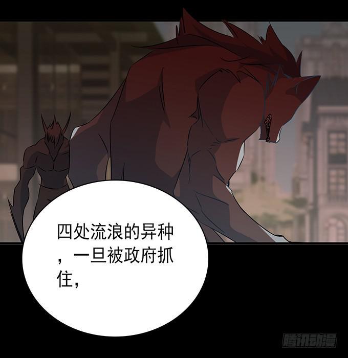 9.我要找妈妈7