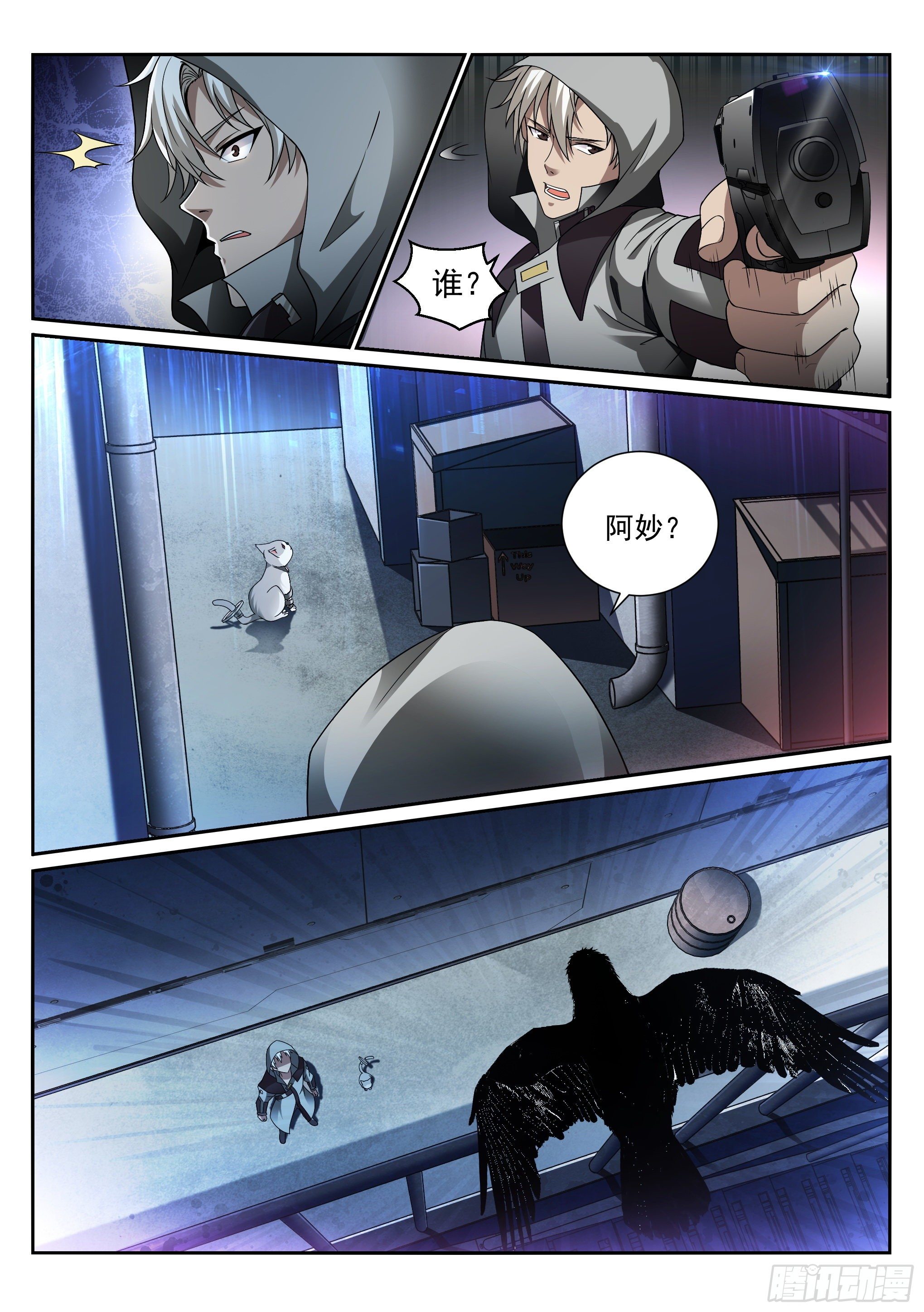 11.化猫13
