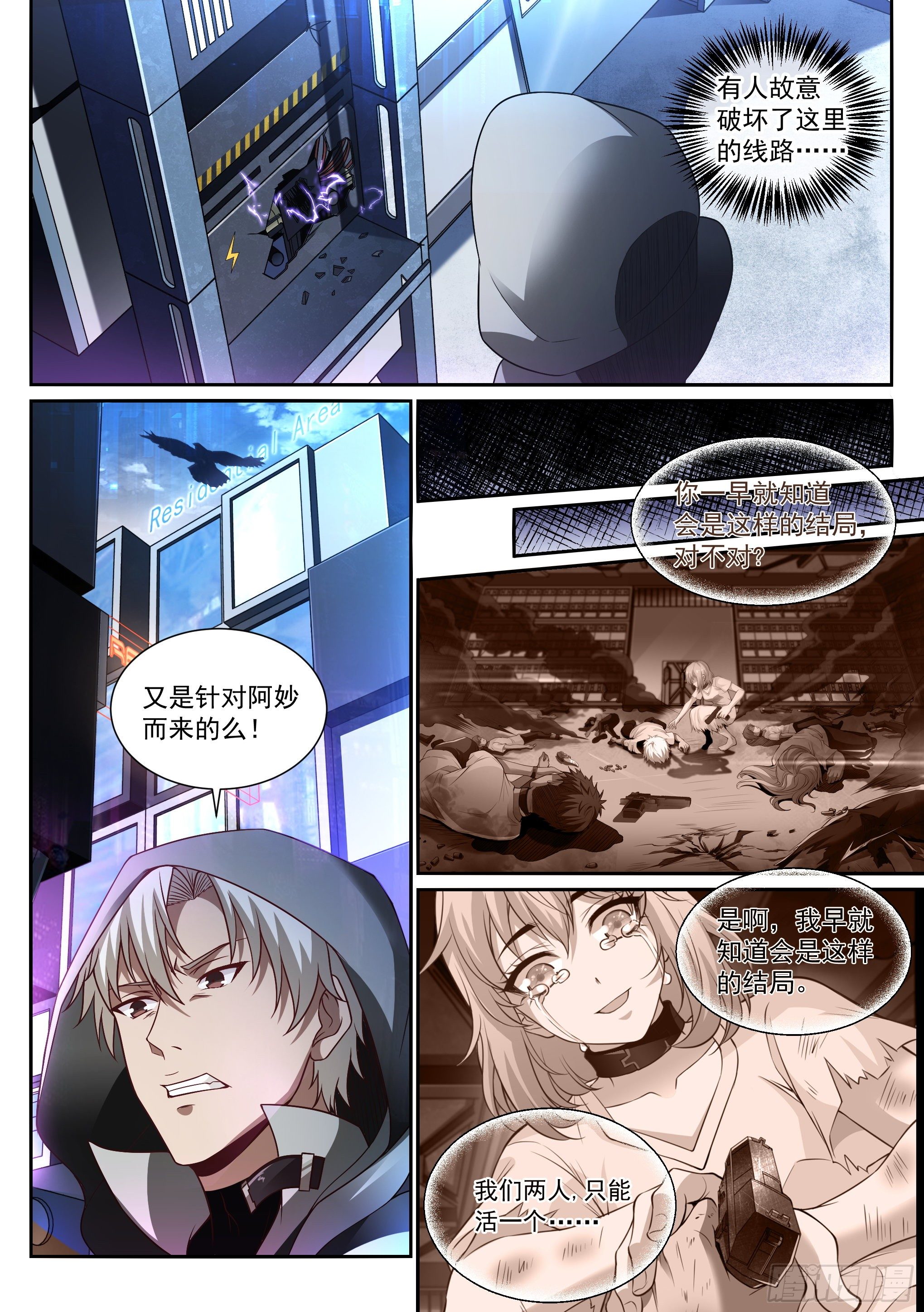 11.化猫11