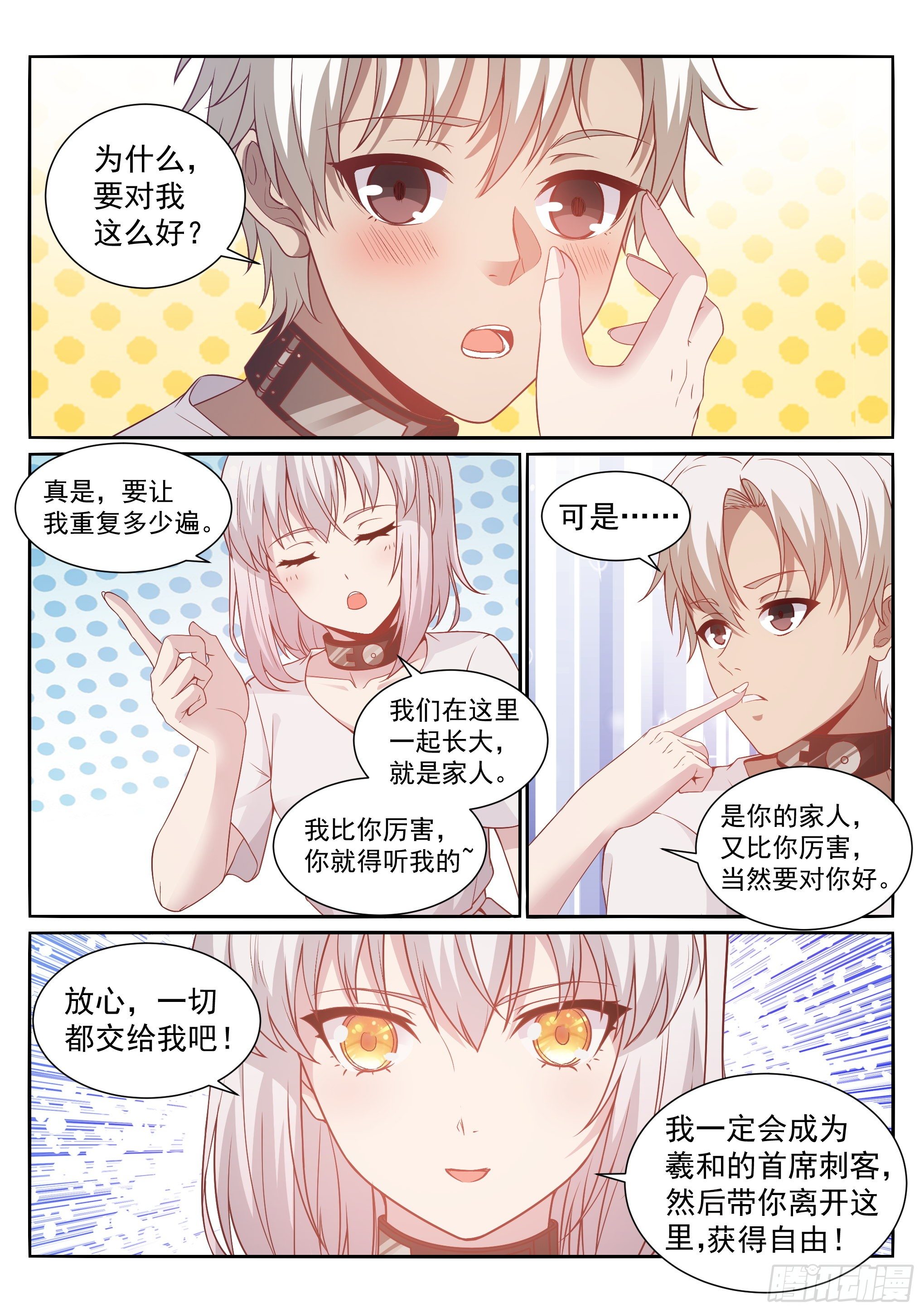 11.化猫3