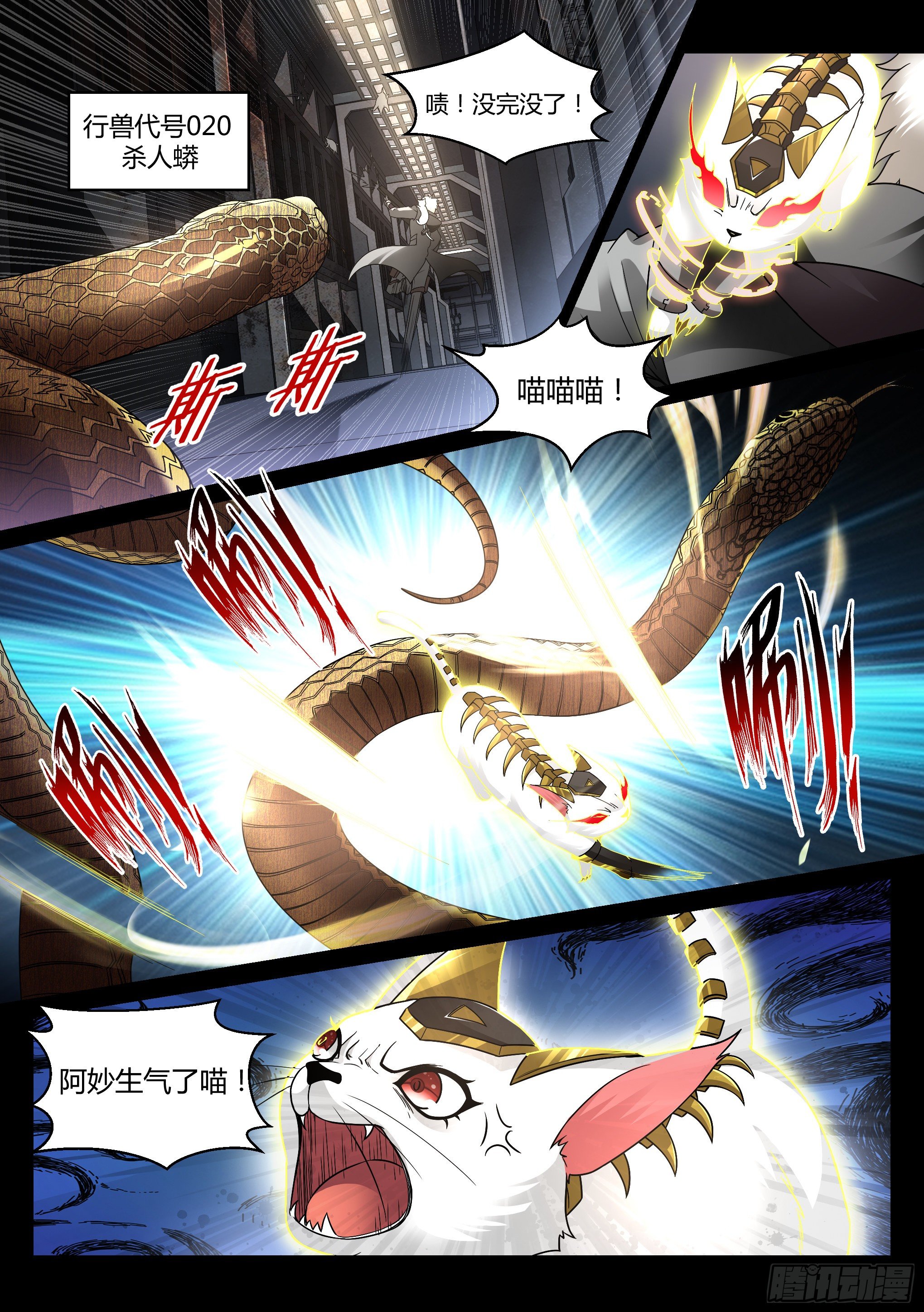 24.妙击13