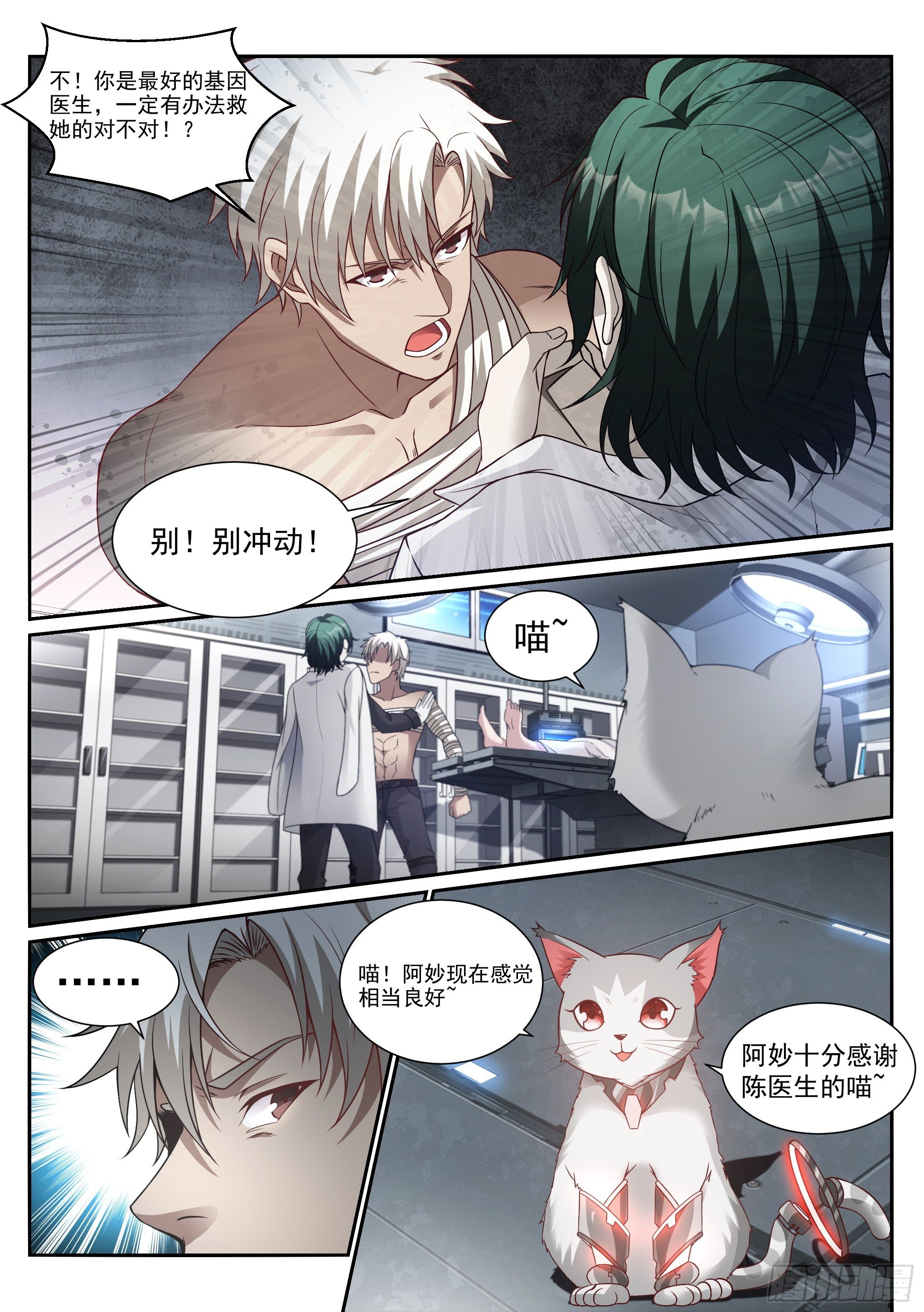 11.化猫8