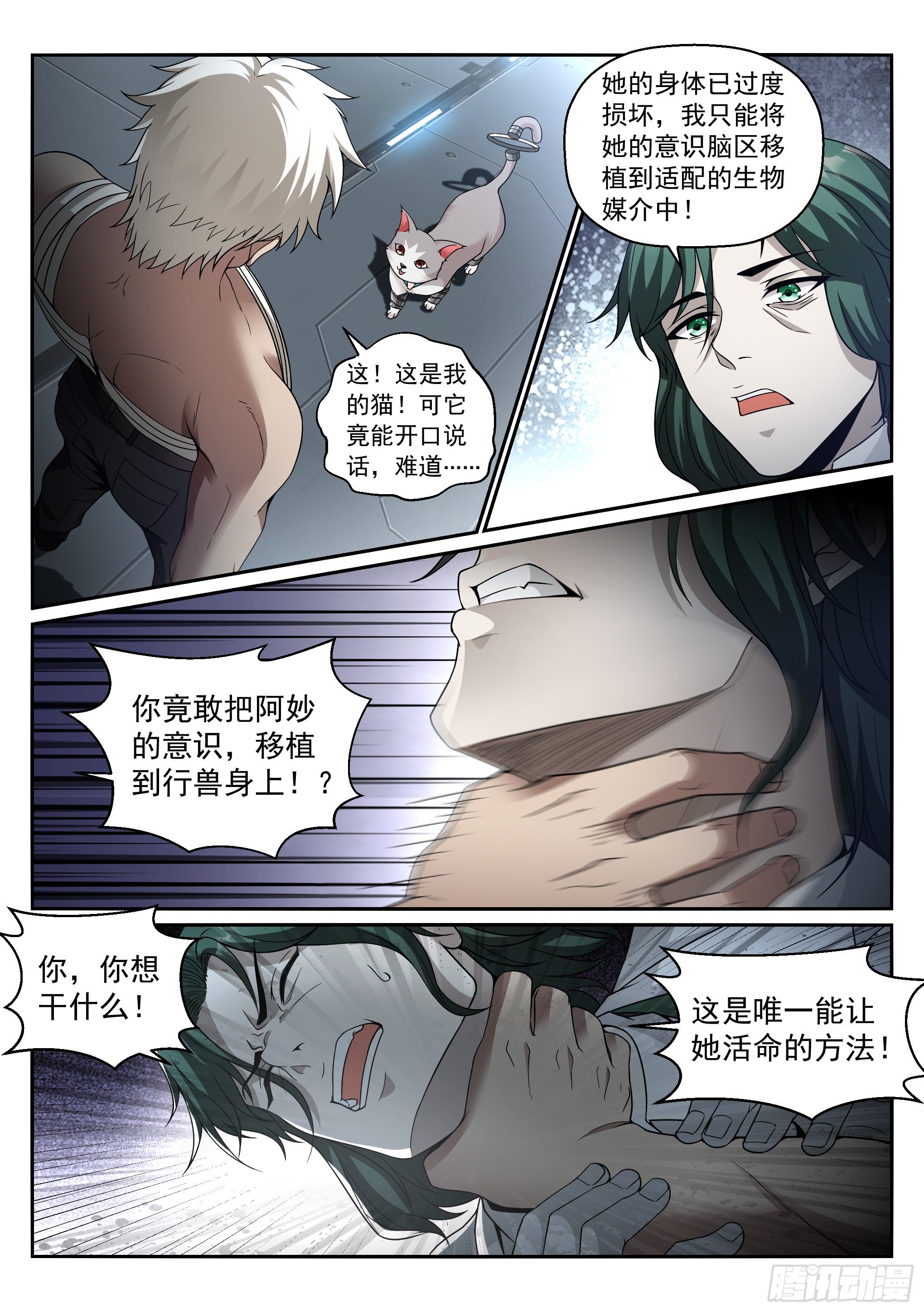 11.化猫9